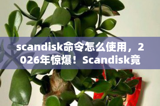 scandisk命令怎么使用,2026年惊爆!Scandisk竟藏着这等玄机,你绝对想不到! scandisk命令怎么使用,2026年惊爆!Scandisk竟藏着这等玄机,你绝对想不到!