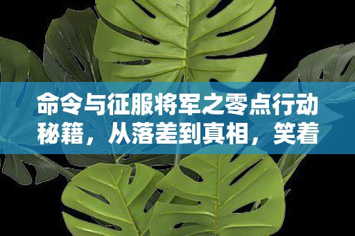 命令与征服将军之零点行动秘籍,从落差到真相,笑着骂零点行动,笑着笑着,泪却先流了 命令与征服将军之零点行动秘籍,从落差到真相,笑着骂零点行动,笑着笑着,泪却先流了
