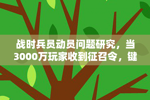 战时兵员动员问题研究,当3000万玩家收到征召令,键盘上的血,真能浇灭战火吗? 战时兵员动员问题研究,当3000万玩家收到征召令,键盘上的血,真能浇灭战火吗?