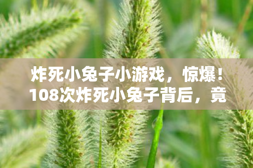 炸死小兔子小游戏,惊爆!108次炸死小兔子背后,竟藏着游戏界的惊天秘密? 炸死小兔子小游戏,惊爆!108次炸死小兔子背后,竟藏着游戏界的惊天秘密?