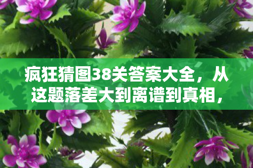 疯狂猜图38关答案大全,从这题落差大到离谱到真相,笑着骂完,我笑着哭了 疯狂猜图38关答案大全,从这题落差大到离谱到真相,笑着骂完,我笑着哭了
