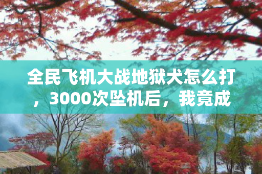 全民飞机大战地狱犬怎么打，3000次坠机后，我竟成了地狱犬的专属飞行员？