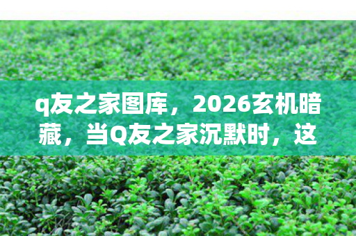 q友之家图库,2026玄机暗藏,当Q友之家沉默时,这游戏究竟给了我什么? q友之家图库,2026玄机暗藏,当Q友之家沉默时,这游戏究竟给了我什么?