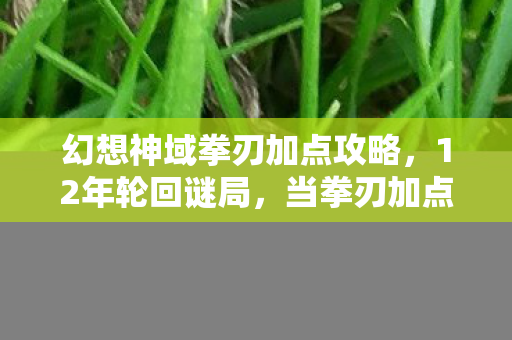 幻想神域拳刃加点攻略，12年轮回谜局，当拳刃加点成为数字墓碑，谁在刻写泪目终章？