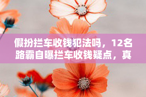 假扮拦车收钱犯法吗，12名路霸自曝拦车收钱疑点，真相揭晓时网友集体绷不住了！