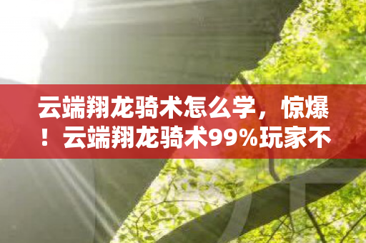 云端翔龙骑术怎么学,惊爆!云端翔龙骑术99%玩家不知的3大数值黑幕,概率暗改实锤! 云端翔龙骑术怎么学,惊爆!云端翔龙骑术99%玩家不知的3大数值黑幕,概率暗改实锤!