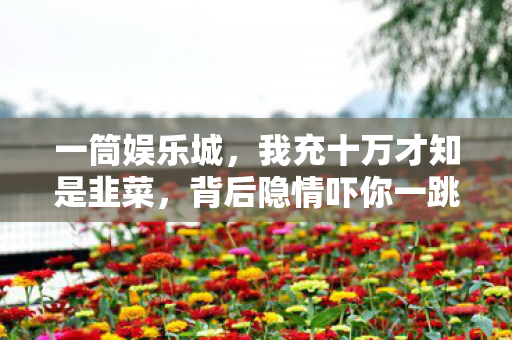 一筒娱乐城，我充十万才知是韭菜，背后隐情吓你一跳！