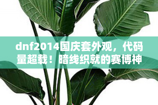 dnf2014国庆套外观，代码量超载！暗线织就的赛博神装，头皮发麻的量子觉醒时刻