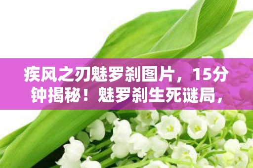 疾风之刃魅罗刹图片,15分钟揭秘!魅罗刹生死谜局,当死亡倒计时撞上泪目真相 疾风之刃魅罗刹图片,15分钟揭秘!魅罗刹生死谜局,当死亡倒计时撞上泪目真相