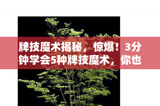 牌技魔术揭秘,惊爆!3分钟学会5种牌技魔术,你也能成派对焦点? 牌技魔术揭秘,惊爆!3分钟学会5种牌技魔术,你也能成派对焦点?