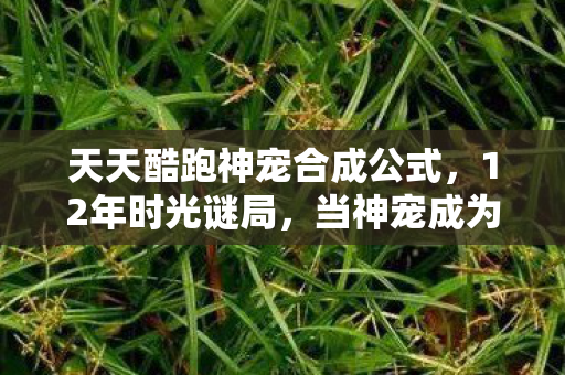 天天酷跑神宠合成公式，12年时光谜局，当神宠成为时代眼泪，谁在守护最后的跑道？