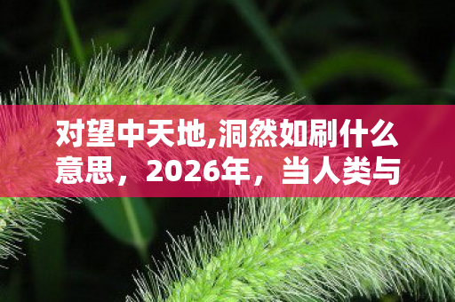 对望中天地,洞然如刷什么意思,2026年,当人类与AI在对望中天地对视,谁先泪崩? 对望中天地,洞然如刷什么意思,2026年,当人类与AI在对望中天地对视,谁先泪崩?