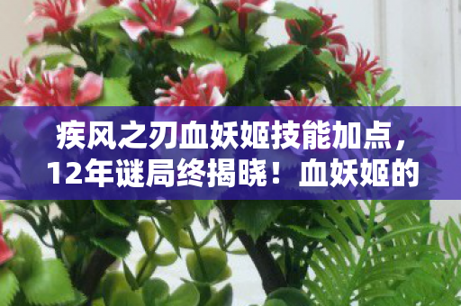疾风之刃血妖姬技能加点，12年谜局终揭晓！血妖姬的陨落与重生，泪目真相竟藏于此