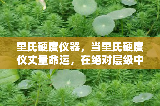 里氏硬度仪器,当里氏硬度仪丈量命运,在绝对层级中,自由意志竟是悖论的震颤? 里氏硬度仪器,当里氏硬度仪丈量命运,在绝对层级中,自由意志竟是悖论的震颤?
