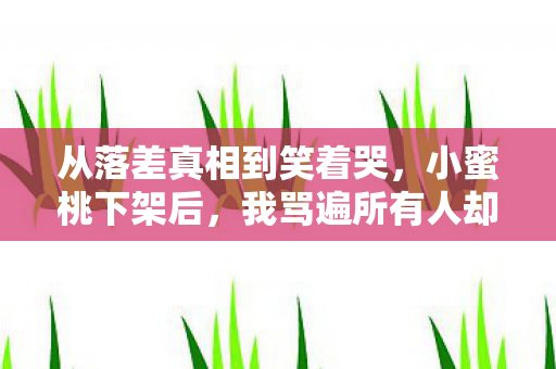 从落差真相到笑着哭，小蜜桃下架后，我骂遍所有人却偷偷上线
