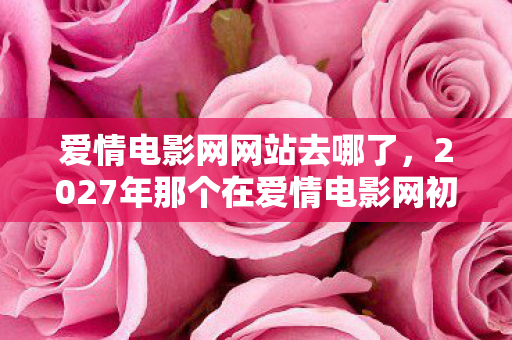 爱情电影网网站去哪了，2027年那个在爱情电影网初遇的你，伏笔藏了十年，如今想起鼻子一酸