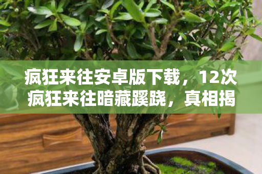 疯狂来往安卓版下载,12次疯狂来往暗藏蹊跷,真相揭晓瞬间,让人后背发凉! 疯狂来往安卓版下载,12次疯狂来往暗藏蹊跷,真相揭晓瞬间,让人后背发凉!