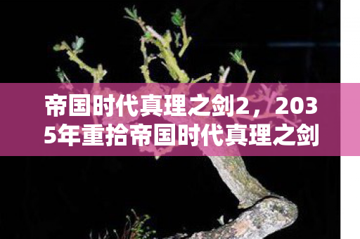 帝国时代真理之剑2,2035年重拾帝国时代真理之剑,十年沉浮,这隐藏设定竟颠覆认知! 帝国时代真理之剑2,2035年重拾帝国时代真理之剑,十年沉浮,这隐藏设定竟颠覆认知!