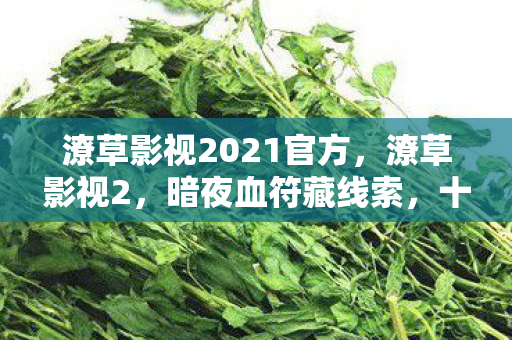 潦草影视2021官方,潦草影视2,暗夜血符藏线索,十年悬案锁密室,毛骨悚然真相何在? 潦草影视2021官方,潦草影视2,暗夜血符藏线索,十年悬案锁密室,毛骨悚然真相何在?