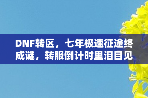 DNF转区，七年极速征途终成谜，转服倒计时里泪目见证DNF落幕