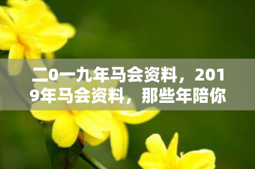 二0一九年马会资料,2019年马会资料,那些年陪你疯的人,如今再上线时鼻子一酸 二0一九年马会资料,2019年马会资料,那些年陪你疯的人,如今再上线时鼻子一酸