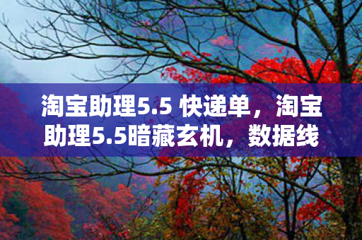淘宝助理5.5 快递单，淘宝助理5.5暗藏玄机，数据线索引出的悬案，背后毛骨悚然真相