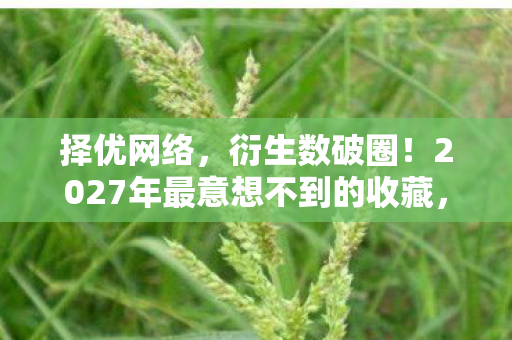 择优网络,衍生数破圈!2027年最意想不到的收藏,手办堆满屋,冰箱空如墓 择优网络,衍生数破圈!2027年最意想不到的收藏,手办堆满屋,冰箱空如墓