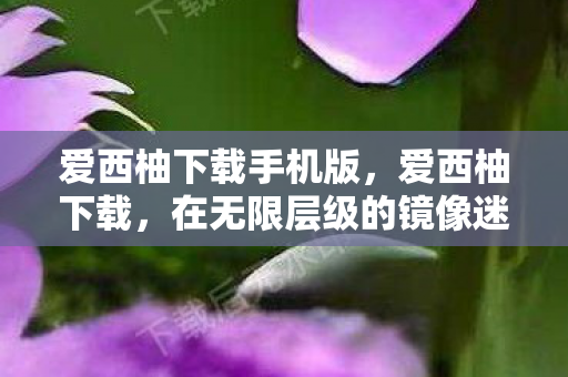 爱西柚下载手机版，爱西柚下载，在无限层级的镜像迷宫中，自由选择如何撕裂命运的悖论？