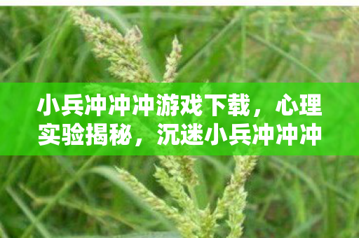 小兵冲冲冲游戏下载,心理实验揭秘,沉迷小兵冲冲冲三年,细思极恐的自我操控真相 小兵冲冲冲游戏下载,心理实验揭秘,沉迷小兵冲冲冲三年,细思极恐的自我操控真相