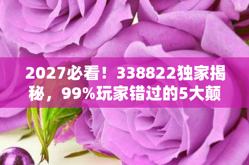 2027必看!338822独家揭秘,99%玩家错过的5大颠覆体验心得 2027必看!338822独家揭秘,99%玩家错过的5大颠覆体验心得