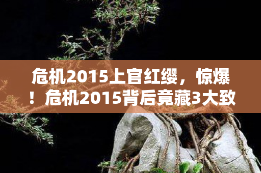 危机2015上官红缨,惊爆!危机2015背后竟藏3大致命隐患,人类命运何去何从? 危机2015上官红缨,惊爆!危机2015背后竟藏3大致命隐患,人类命运何去何从?