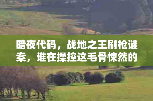 暗夜代码，战地之王刷枪谜案，谁在操控这毛骨悚然的死亡循环？