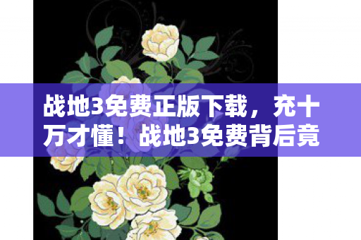 战地3免费正版下载,充十万才懂!战地3免费背后竟藏着这等吓一跳的隐情! 战地3免费正版下载,充十万才懂!战地3免费背后竟藏着这等吓一跳的隐情!