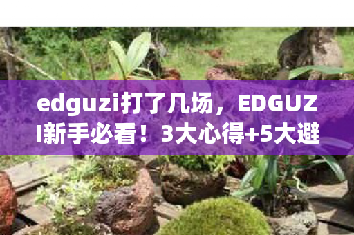 edguzi打了几场,EDGUZI新手必看!3大心得+5大避坑指南,2027年玩转新潮流 edguzi打了几场,EDGUZI新手必看!3大心得+5大避坑指南,2027年玩转新潮流