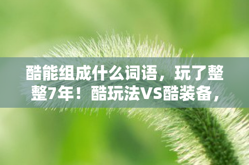 酷能组成什么词语,玩了整整7年!酷玩法VS酷装备,哪个才是游戏终极之酷? 酷能组成什么词语,玩了整整7年!酷玩法VS酷装备,哪个才是游戏终极之酷?
