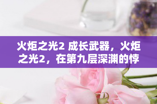 火炬之光2 成长武器，火炬之光2，在第九层深渊的悖论中，我的灵魂震颤着选择成神还是成尘