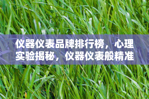 仪器仪表品牌排行榜，心理实验揭秘，仪器仪表般精准的游戏设计，如何让你沉迷到细思极恐？