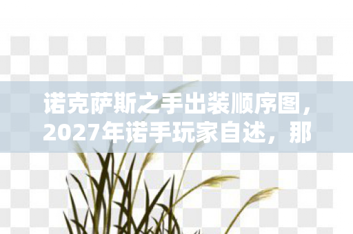 诺克萨斯之手出装顺序图，2027年诺手玩家自述，那些凌晨三点的等你，让我鼻子一酸