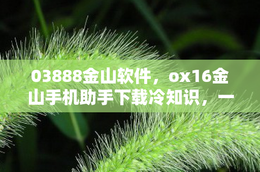 03888金山软件，ox16金山手机助手下载冷知识，一个按钮颠覆认知，真相让你目瞪口呆！