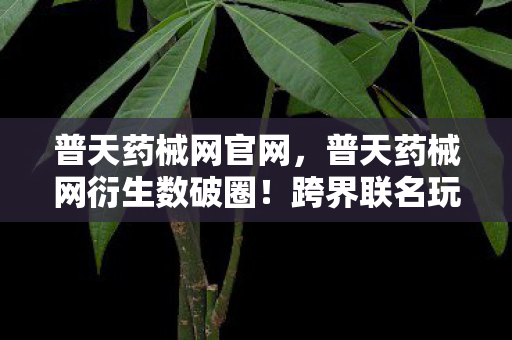 普天药械网官网，普天药械网衍生数破圈！跨界联名玩出意想不到新花样