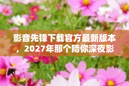 影音先锋下载官方最新版本，2027年那个陪你深夜影音先锋下载的人，如今再上线时，我鼻子一酸
