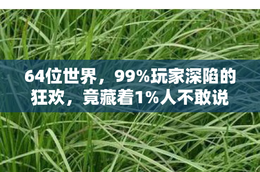 64位世界,99%玩家深陷的狂欢,竟藏着1%人不敢说的扎心真相 64位世界,99%玩家深陷的狂欢,竟藏着1%人不敢说的扎心真相