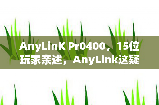 AnyLinK Pr0400,15位玩家亲述,AnyLink这疑点重重的设定,真让人绷不住! AnyLinK Pr0400,15位玩家亲述,AnyLink这疑点重重的设定,真让人绷不住!