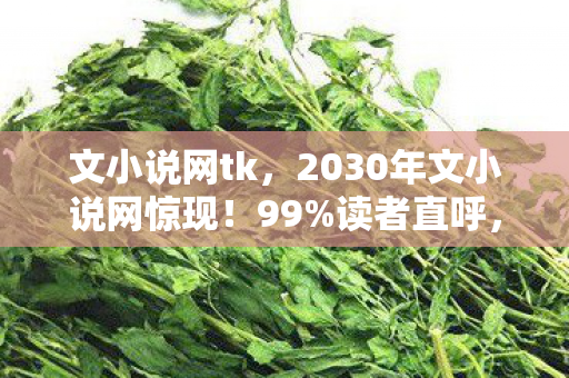 文小说网tk，2030年文小说网惊现！99%读者直呼，这体验颠覆认知！
