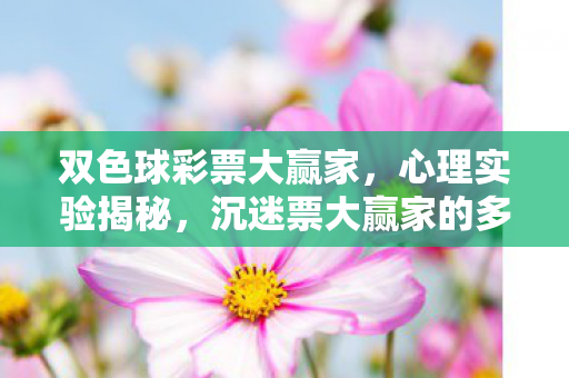 双色球彩票大赢家,心理实验揭秘,沉迷票大赢家的多巴胺陷阱,细思极恐! 双色球彩票大赢家,心理实验揭秘,沉迷票大赢家的多巴胺陷阱,细思极恐!