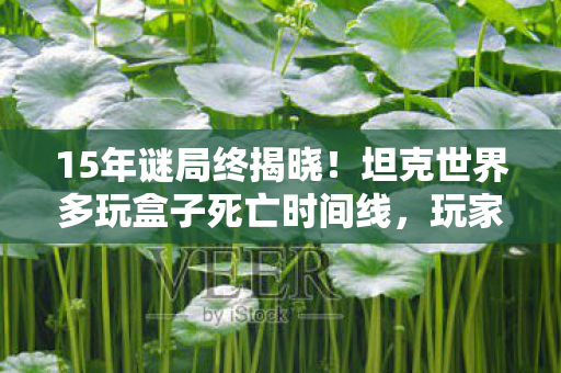 15年谜局终揭晓!坦克世界多玩盒子死亡时间线,玩家泪目真相 15年谜局终揭晓!坦克世界多玩盒子死亡时间线,玩家泪目真相