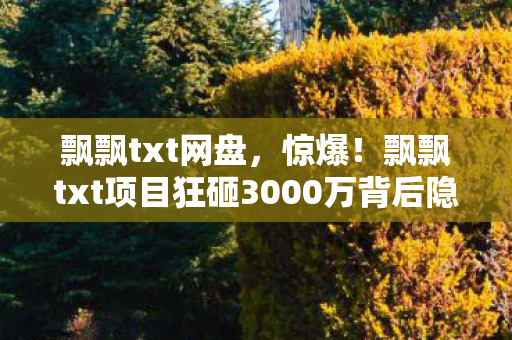 飘飘txt网盘,惊爆!飘飘txt项目狂砸3000万背后隐情,结果让人吓一跳! 飘飘txt网盘,惊爆!飘飘txt项目狂砸3000万背后隐情,结果让人吓一跳!