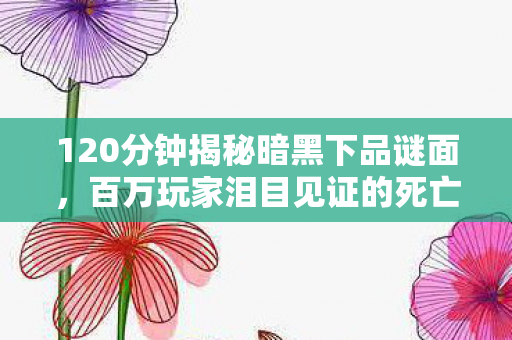 120分钟揭秘暗黑下品谜面，百万玩家泪目见证的死亡时间线