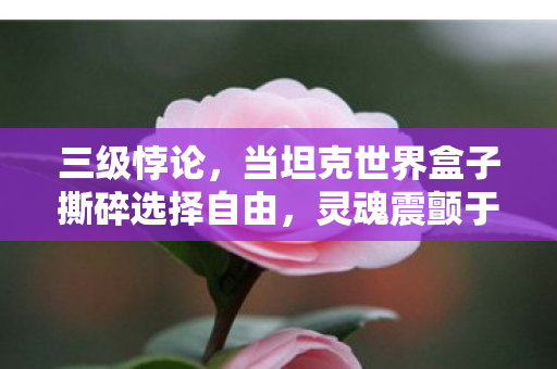 三级悖论，当坦克世界盒子撕碎选择自由，灵魂震颤于存在主义的审判场