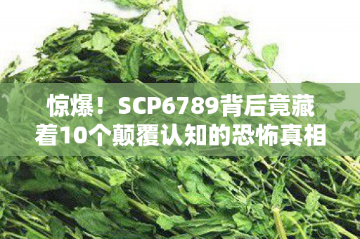 惊爆!SCP6789背后竟藏着10个颠覆认知的恐怖真相! 惊爆!SCP6789背后竟藏着10个颠覆认知的恐怖真相!